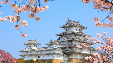 Giappone per tutte le tasche: consigli di viaggio