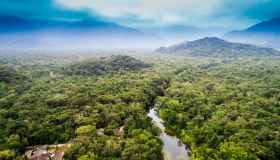 Foresta amazzonica: un viaggio nel polmone verde del mondo