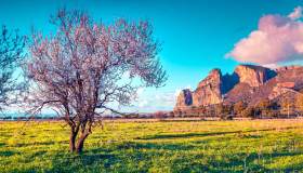 Torna la Ferrovia dei templi per la sagra del mandorlo in fiore