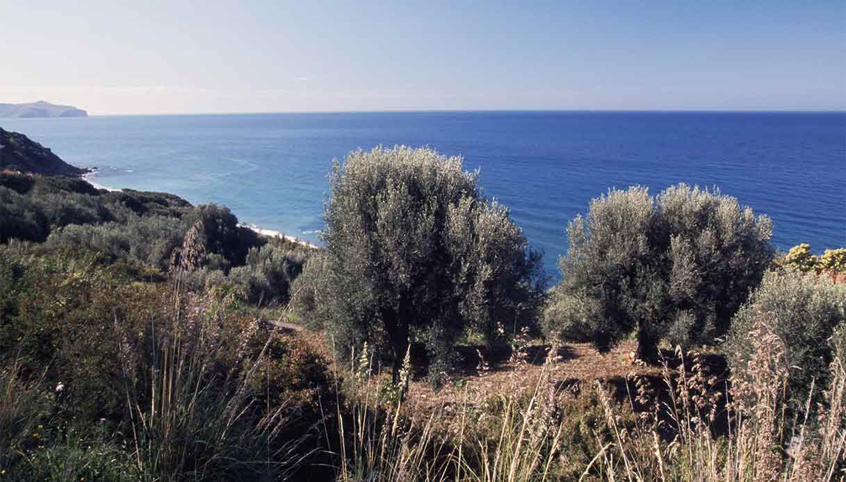 marina-Pisciotta-cilento