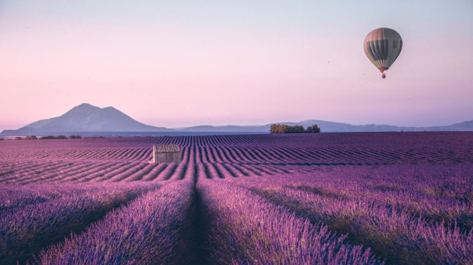 Provenza, l’itinerario ideale sulle strade della lavanda