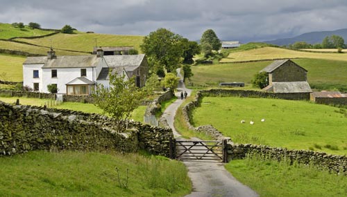 campagna-inglese_th_500