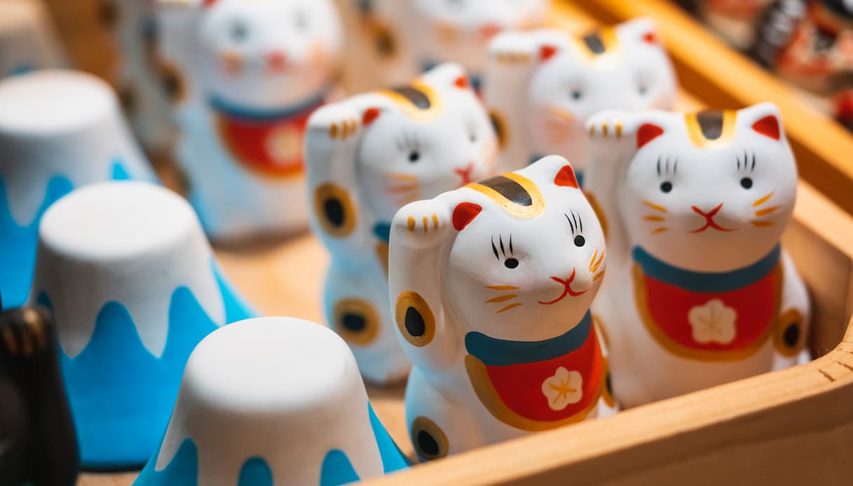 Gatto, Tokyo