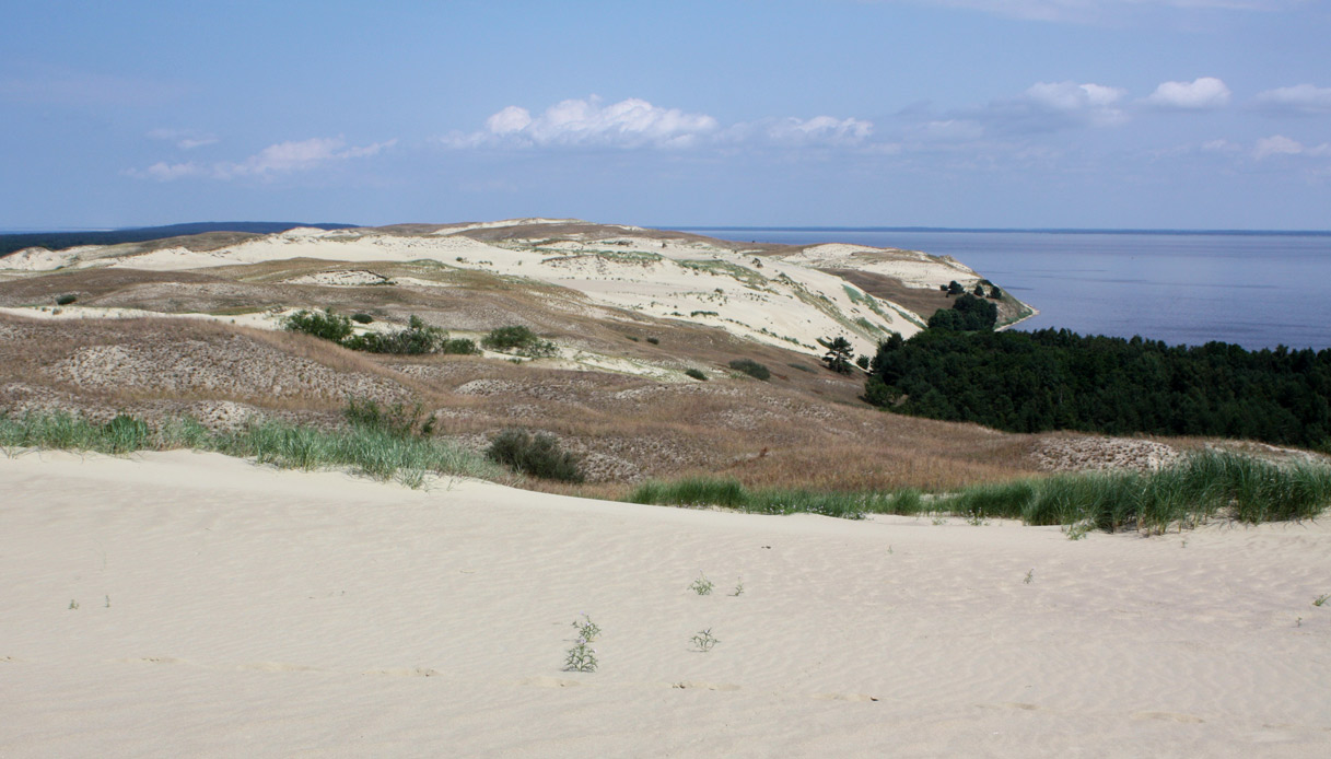 Penisola Curlandese