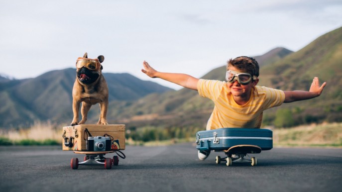 Cosa sono gli animali di supporto emotivo da portare in aereo