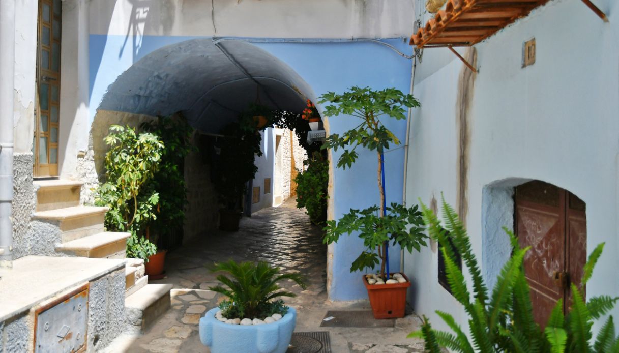 Casamassima