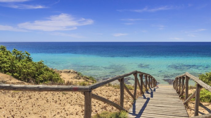 Puglia, il mistero della foresta pietrificata