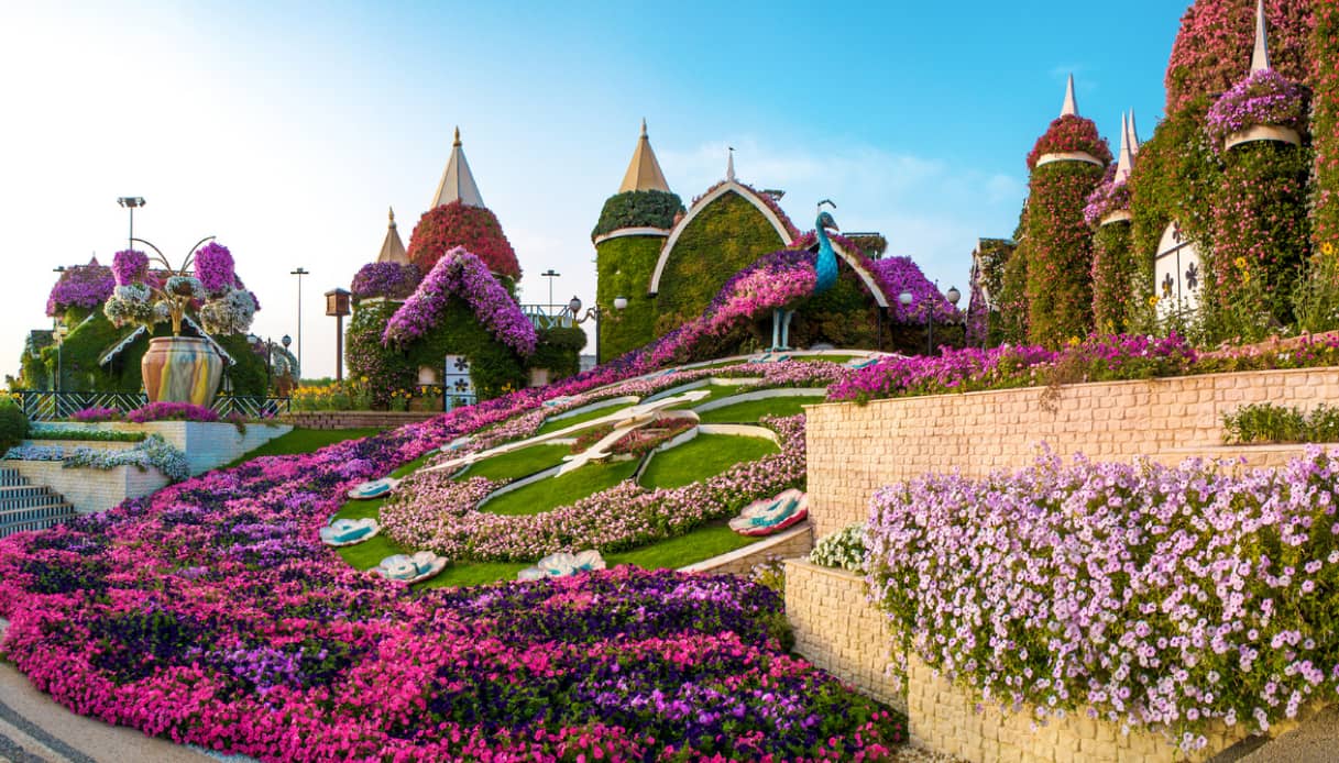 Dubai Miracle Garden: il grande orologio