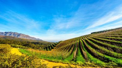 Franschhoek: cosa vedere e cosa fare nella piccola Francia del Sudafrica