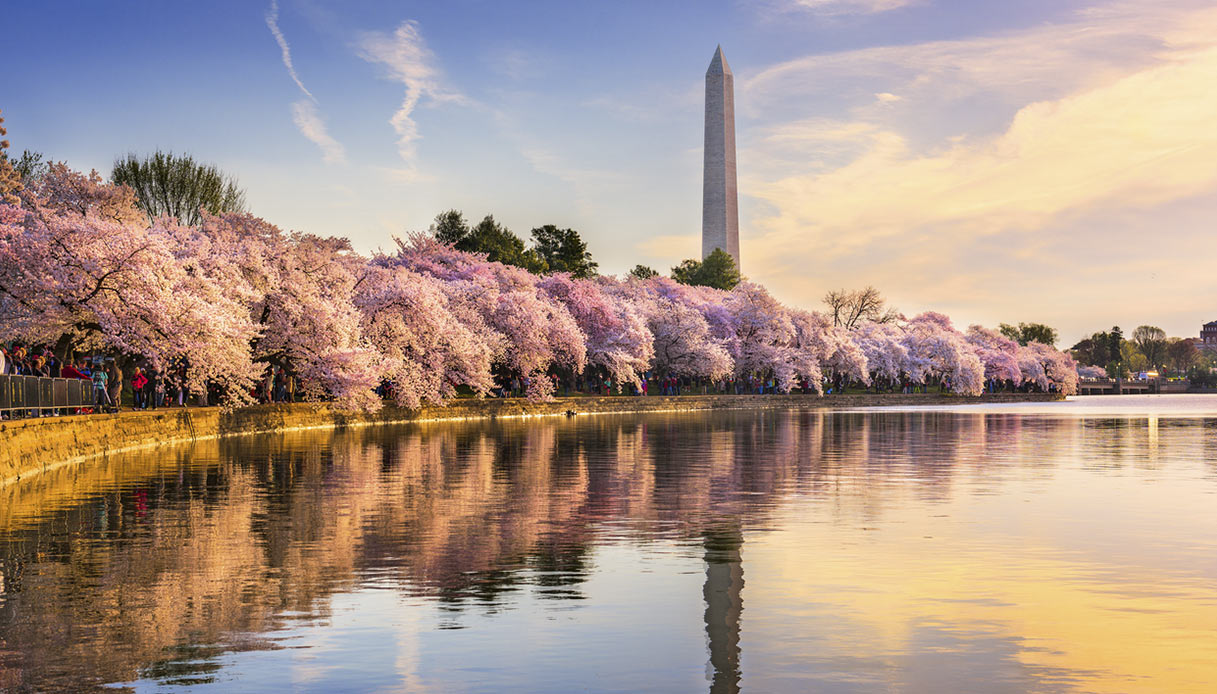 potomac-river