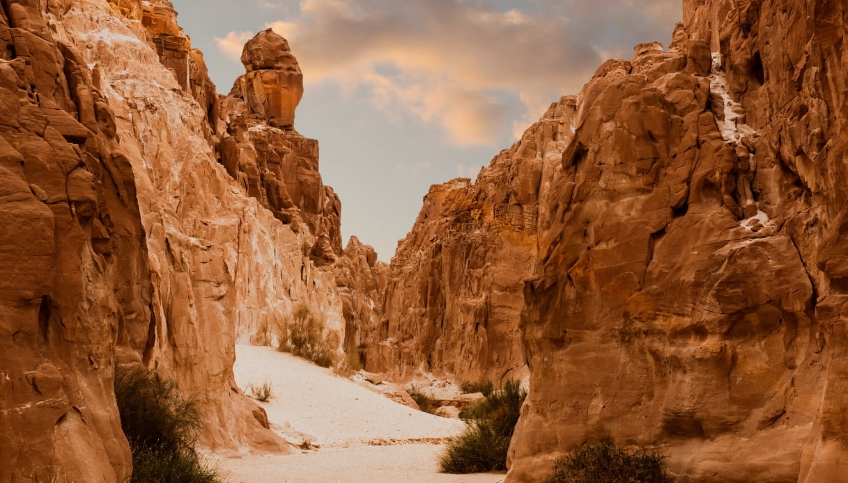 Sinai