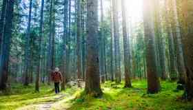 5 passeggiate facili da fare in Italia