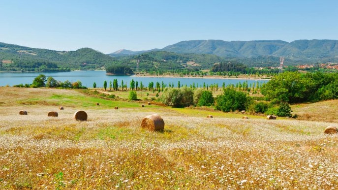 “Se son rose…”, la Toscana del nuovo film di Pieraccioni