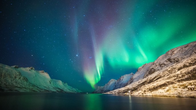 Nuotare con le orche, sotto l’aurora boreale: il safari nei fiordi norvegesi