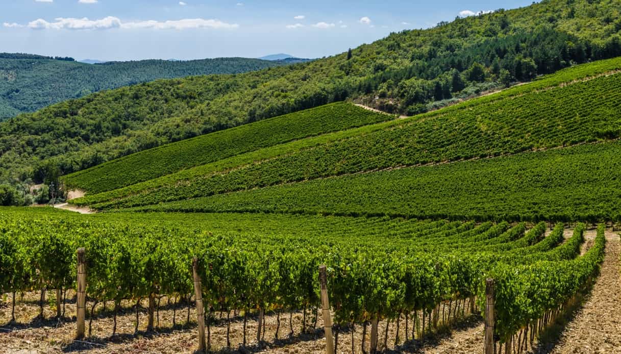 Chianti