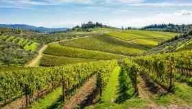 La Strada dei Castelli del Chianti, alla scoperta di antiche fortezze