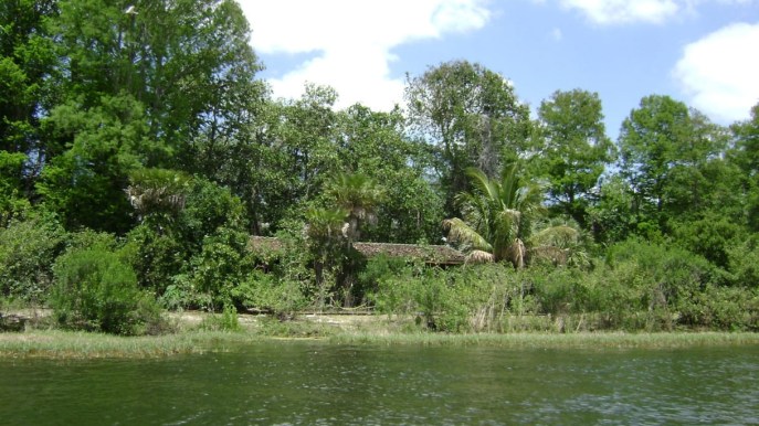 Discovery Island, l’isola misteriosa abbandonata da Disney World