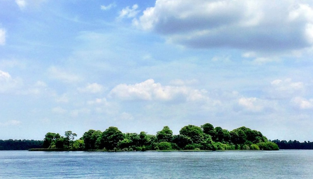 Discovery Island, l'isola misteriosa abbandonata da Disney World