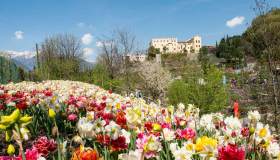 Perché quelli di Castel Trauttmansdorff a Merano sono i giardini dell’amore