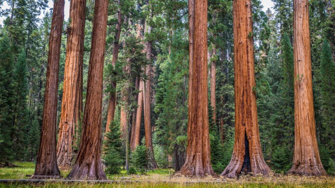 Le tappe principali e alcuni consigli per affrontare il Pacific Crest Trail