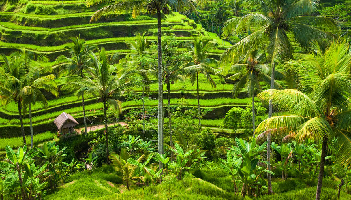 7 giorni a Bali