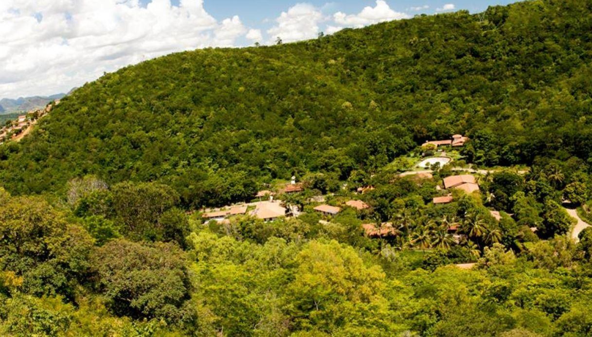 foresta