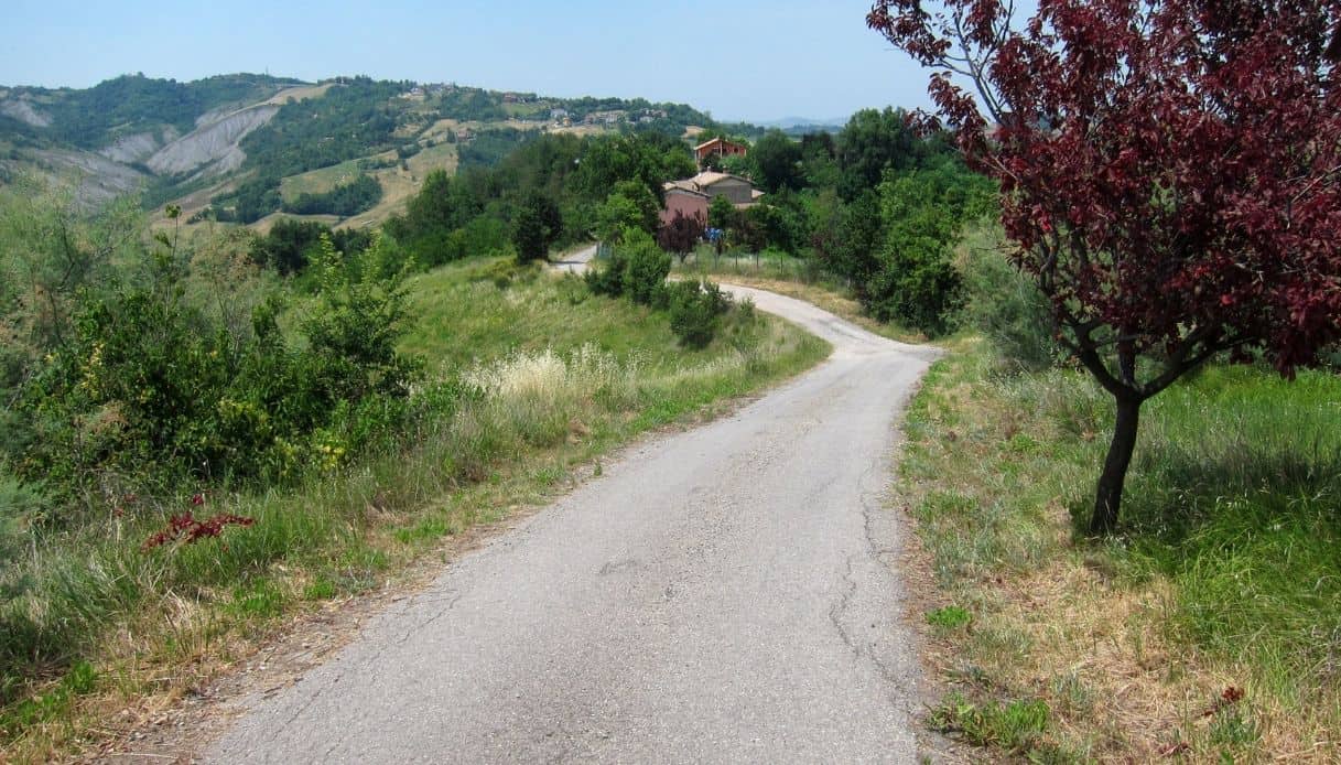 Via Vandelli, ciclismo