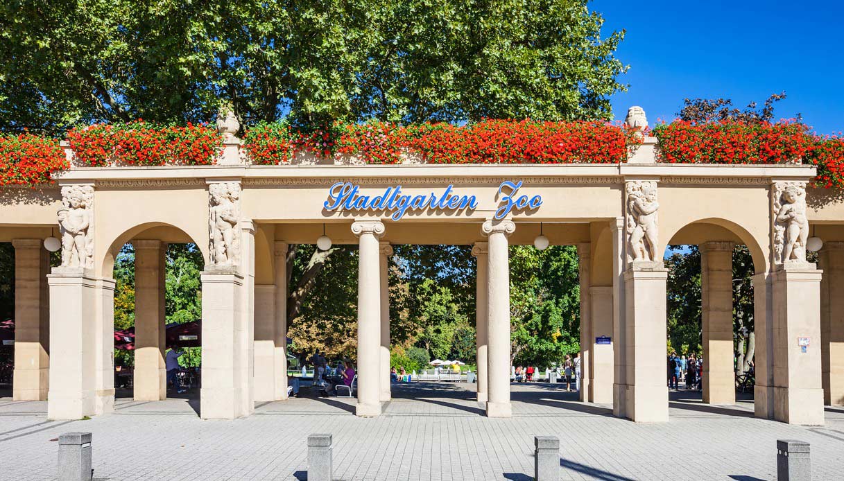 Lo zoo di Karlsruhe