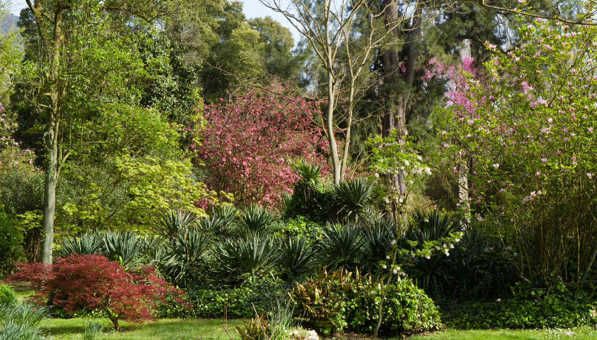 Gite vicino a Roma: Giardino di Ninfa