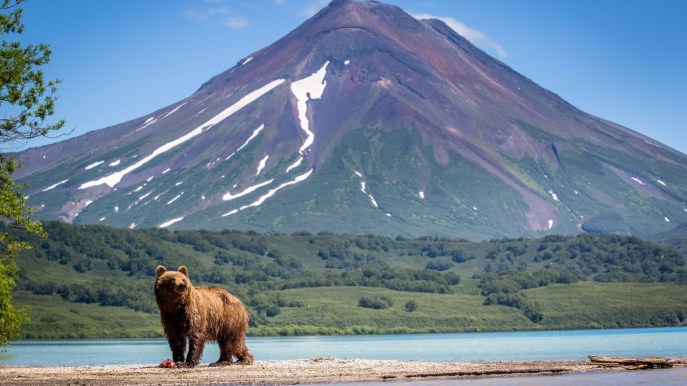 Alla scoperta delle bellezze della Kamchatka, in Russia