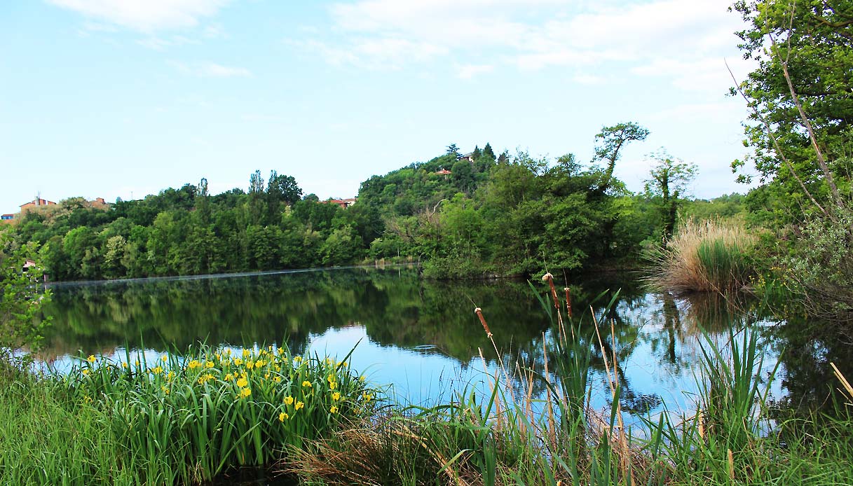 canavese-lago-san-michele