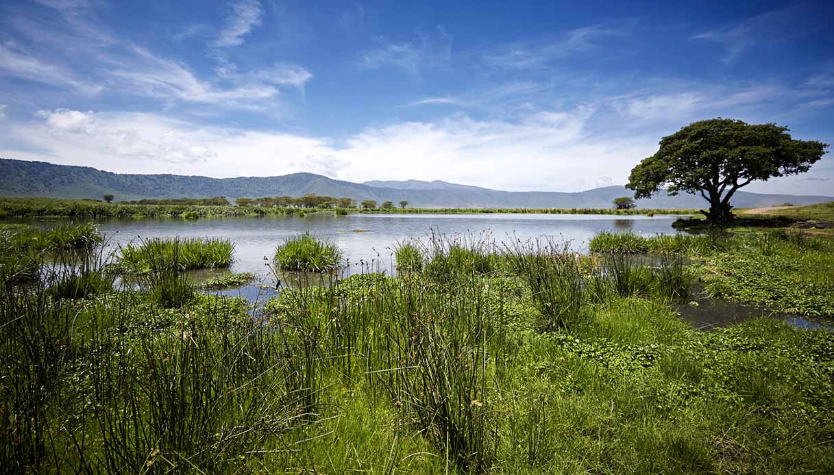 safari tanzania_cratere di Ngorongoro
