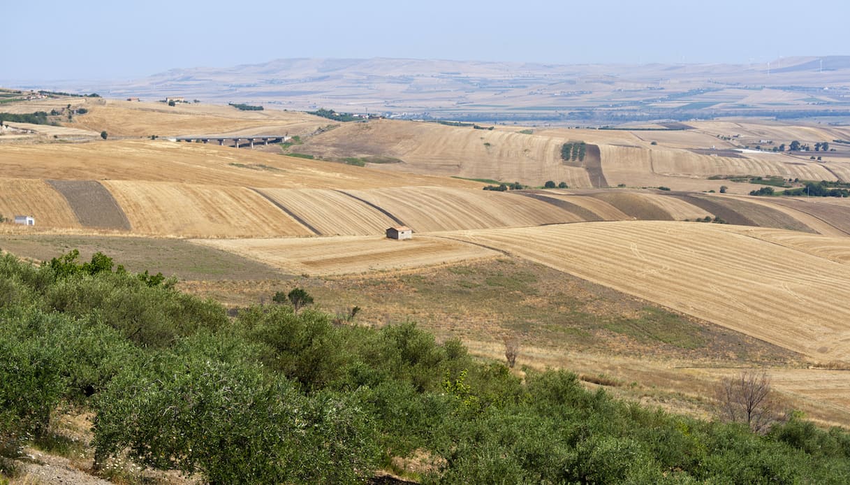 campagna melfi