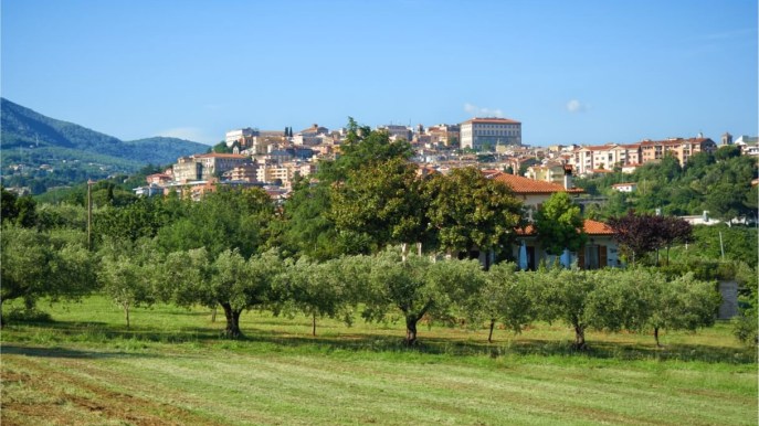 Alla scoperta di Velletri e delle sue molteplici bellezze