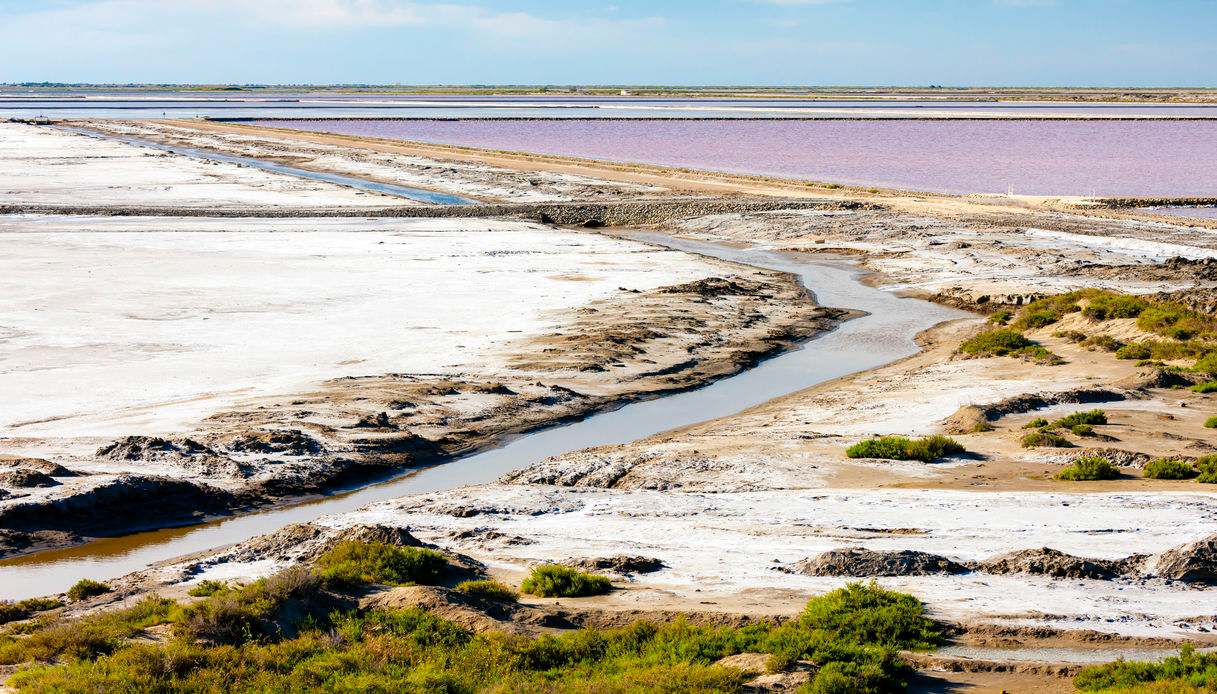 saline rosa di aigues morte