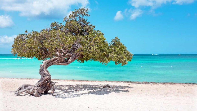 Perché Aruba è detta l’isola della felicità? Basta vederla