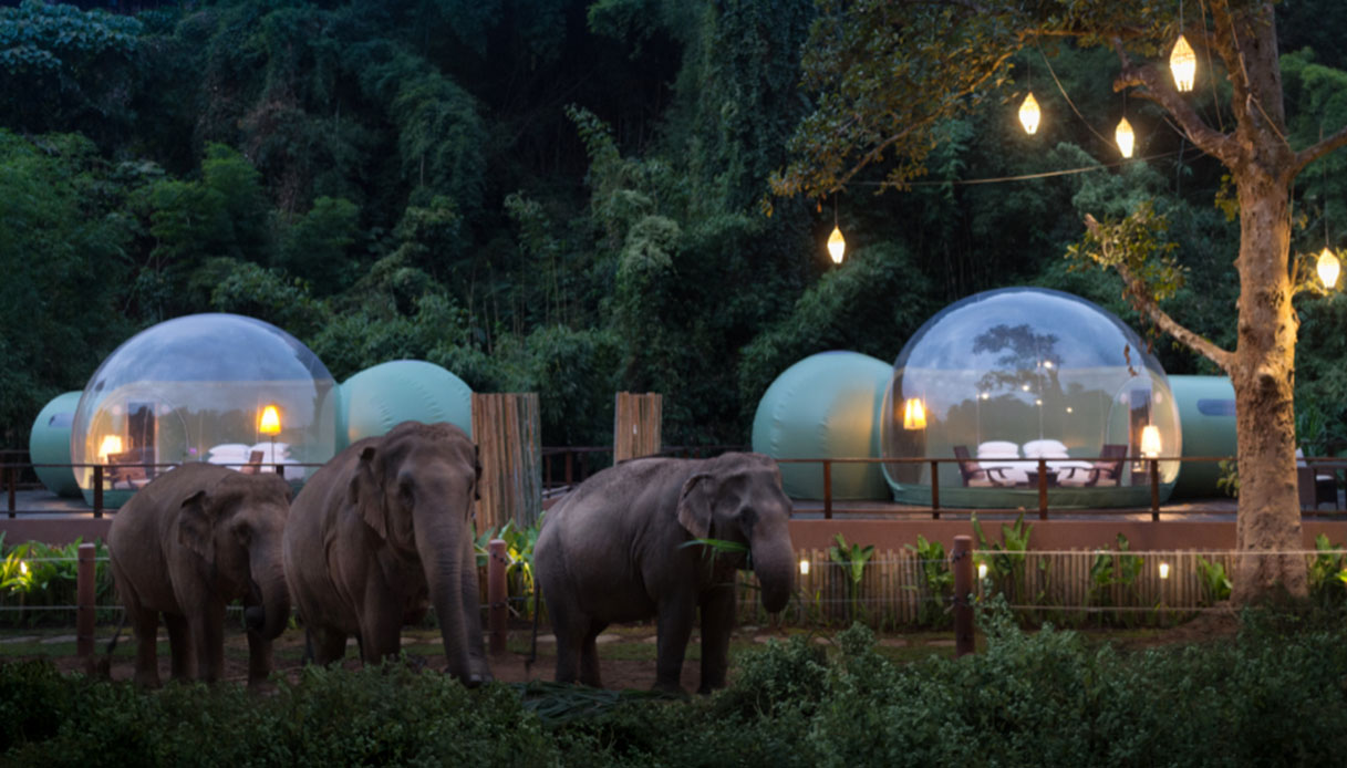 Bolle trasparenti del glamping in Thailandia