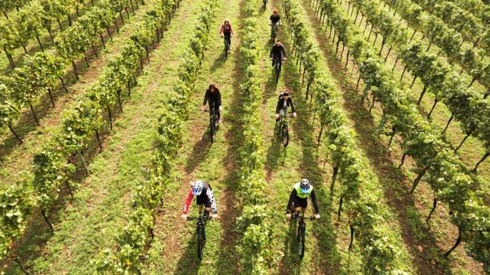 Settembre tra i vigneti della Franciacorta: l’itinerario e gli eventi