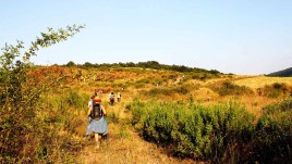 In Basilicata, il cammino della Val d’Agri è uno spettacolo
