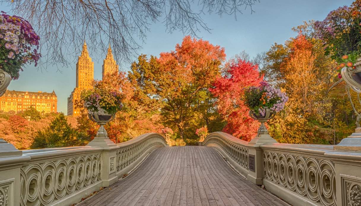 Central Park