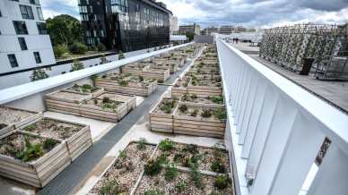 La più grande fattoria urbana in Europa ha la vista sulla Torre Eiffel