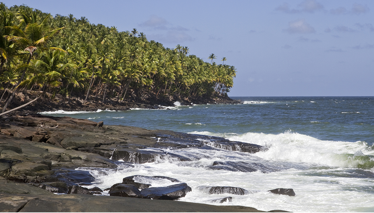isola-diavolo-guyana-francese-papillon