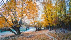 Passeggiate autunnali in Abruzzo con il foliage