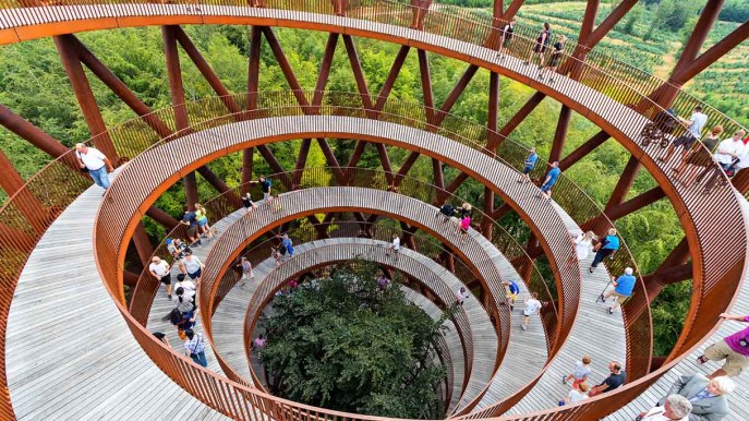 Danimarca: la spettacolare passerella per passeggiare sospesi tra gli alberi
