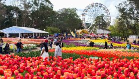 Luoghi da visitare nella città di Canberra e dintorni