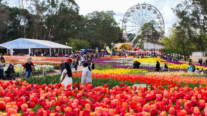 Luoghi da visitare nella città di Canberra e dintorni