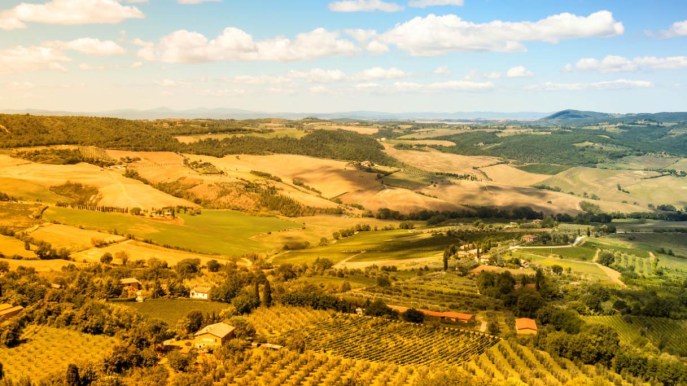 L’esperienza da “Mille e una notte” si fa in Italia, in vigna