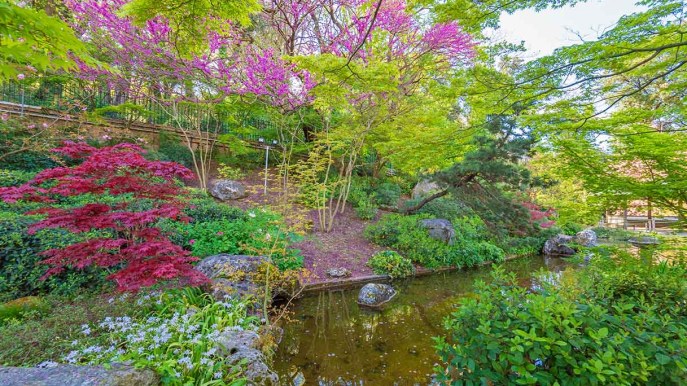 Un viaggio tra i colori e i profumi del mondo, a Roma