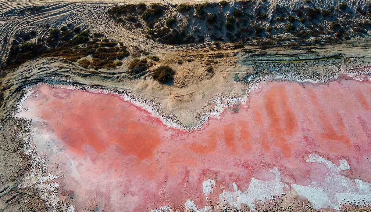 Pink lake in Ras al Khaimah