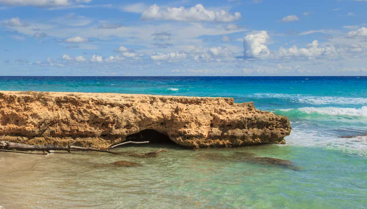 torre dell'orso